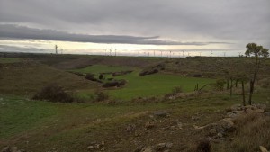 j18 paysage varié 1